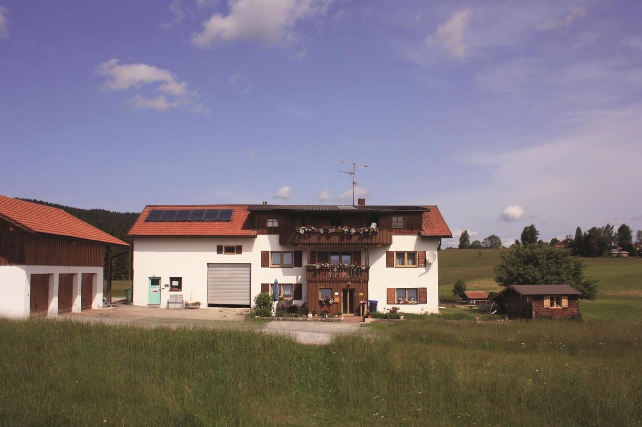Haus Anny Apartment Haidmühle Exterior foto